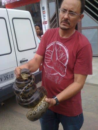 Imagem Moradores encontram sucuri no Bairro da Paz