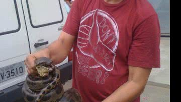 Imagem Moradores encontram sucuri no Bairro da Paz