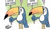 Imagem Guerra de tucanos