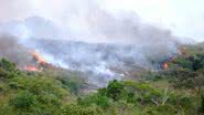 Imagem Fogo destrói Parque Nacional da Chapada