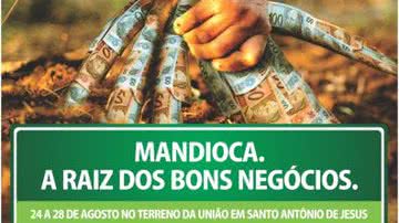 Imagem Santo Antônio de Jesus se prepara para a Expomandioca