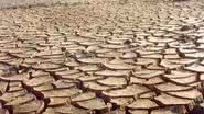 Imagem Seca: prejuízo em Pernambuco supera os R$ 400 milhões