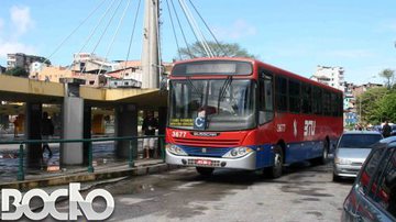Imagem Ônibus voltam a circular em Salvador