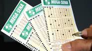 Imagem Mega-Sena pode pagar R$ 53 milhões