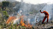 Imagem Incêndio atinge Serra da Mesa na Chapada Diamantina