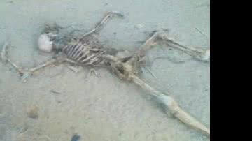 Imagem Ossada humana é encontrada em Vitória da Conquista