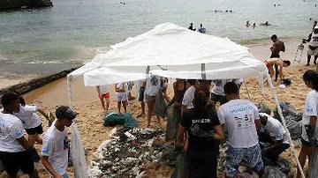 Imagem Voluntários retiram lixo da Orla