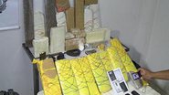 Imagem Polícia apreende 27 kg de drogas em Teixeira de Freitas