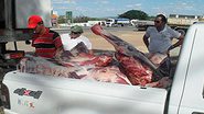 Imagem Polícia apreende 800 kg de carne em Juazeiro