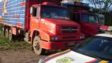 Imagem PRF apreende mais de 5 mil galinhas vivas em Itaberaba