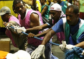 Imagem Simm oferece 200 vagas para cordeiro no carnaval