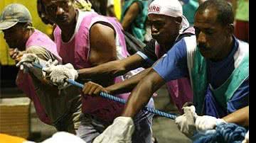 Imagem Simm oferece 200 vagas para cordeiro no carnaval