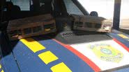 Imagem Apreendidos 100 pássaros silvestres em Barreiras