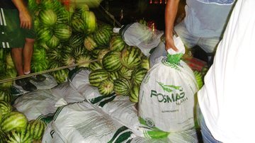 Imagem Mais de 200 kg de maconha são apreendidos em carga de melancia