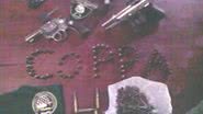 Imagem Polícia Ambiental apreende armas e drogas na ilha de Vera Cruz 