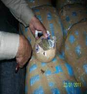 Imagem Blitz em rodovia apreende 147 kg de maconha 