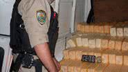 Imagem Polícia Rodoviária apreende 900 kg de queijo