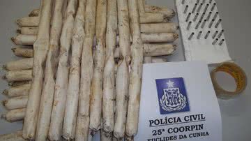 Imagem Crime: 45 bananas de dinamite e 31 detonadores apreendidos