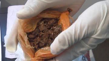Imagem Grávida é presa após tentar entrar em presídio com droga nas partes íntimas