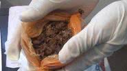 Imagem Grávida é presa após tentar entrar em presídio com droga nas partes íntimas
