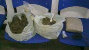 Imagem Mulheres flagradas com 3kg de maconha na Gamboa