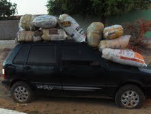 Imagem PM apreende 162 kg de maconha em Abaré