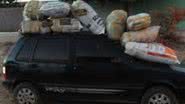 Imagem PM apreende 162 kg de maconha em Abaré