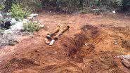 Imagem Filha de advogado é encontrada morta em matagal