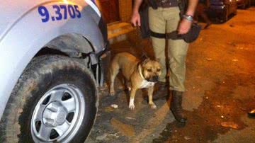 Imagem Policiais são recebidos a tiros na Liberdade