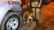 Imagem Policiais são recebidos a tiros na Liberdade
