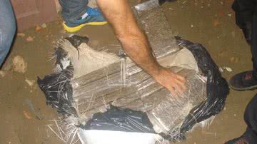 Imagem Desenterrados 37kg de maconha em quintal