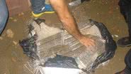 Imagem Desenterrados 37kg de maconha em quintal