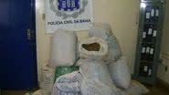 Imagem Policia apreende 380 kg de maconha em Irecê