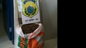 Imagem PRF apreende 30 kg de maconha na BR-324