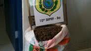 Imagem PRF apreende 30 kg de maconha na BR-324