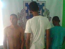Vermelhinho da Bahia