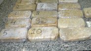 Imagem Traficante é preso com 17,4 Kg de cocaína em Camaçari