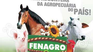 Imagem Fenagro 2010