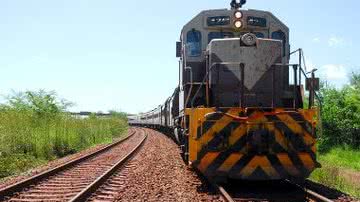 Imagem Ibama suspende licença da Ferrovia Leste-Oeste