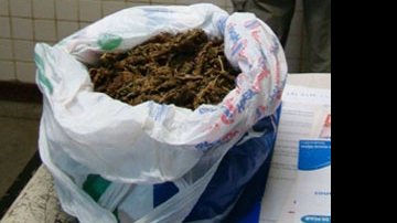 Imagem Estudante de direito é detido com drogas em Camaçari