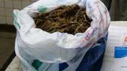 Imagem Estudante de direito é detido com drogas em Camaçari