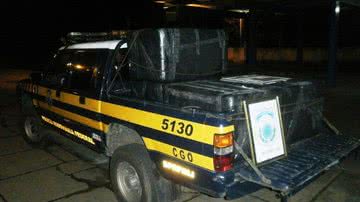 Imagem PRF apreende 200 kg de lagosta em ônibus