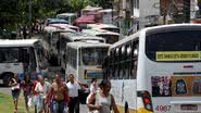 Imagem Rodoviários x Transalvador