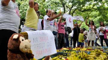 Imagem Professores distribuem bananas em protesto