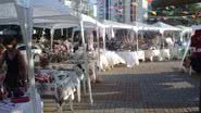 Imagem Feira de Artesanato é realizada até este domingo