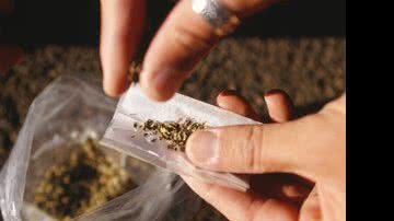 Imagem Fumar maconha na adolescência reduz capacidade intelectual