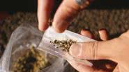 Imagem Fumar maconha na adolescência reduz capacidade intelectual