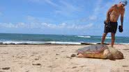 Imagem Tartaruga Marinha encontrada morta na Pituba