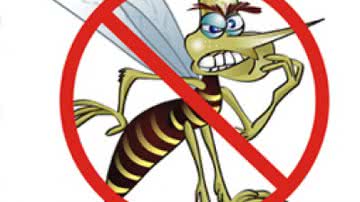 Imagem Pernambuco no combate à dengue