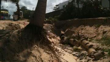 Imagem A praia que você frequenta está boa?